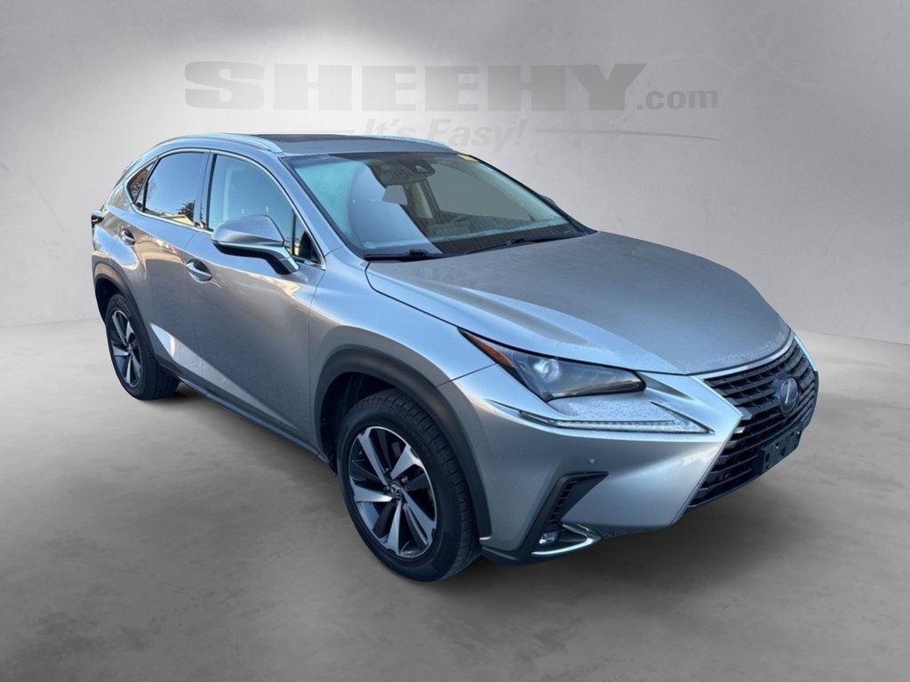 2018 Lexus NX 300 Luxury photo 2