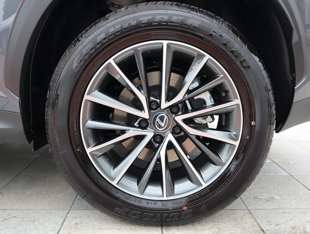2025 Lexus NX 250 Premium photo 10