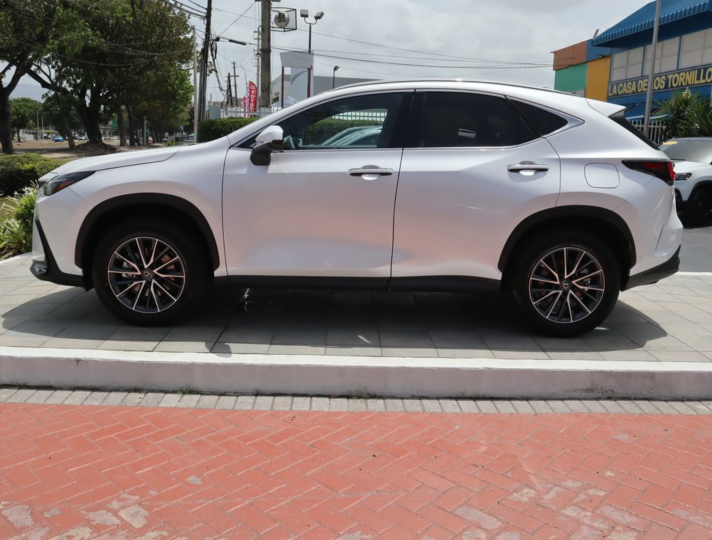 2025 Lexus NX 350 photo 8