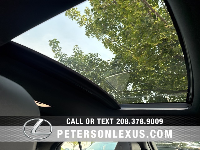 2025 Lexus UX F SPORT Design photo 13