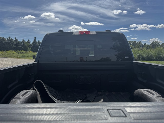 2021 Ford F-150 Platinum photo 17