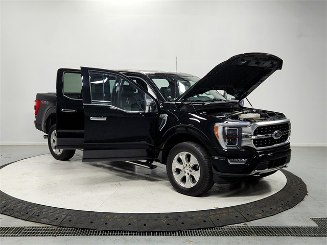 2023 Ford F-150 Platinum photo 9
