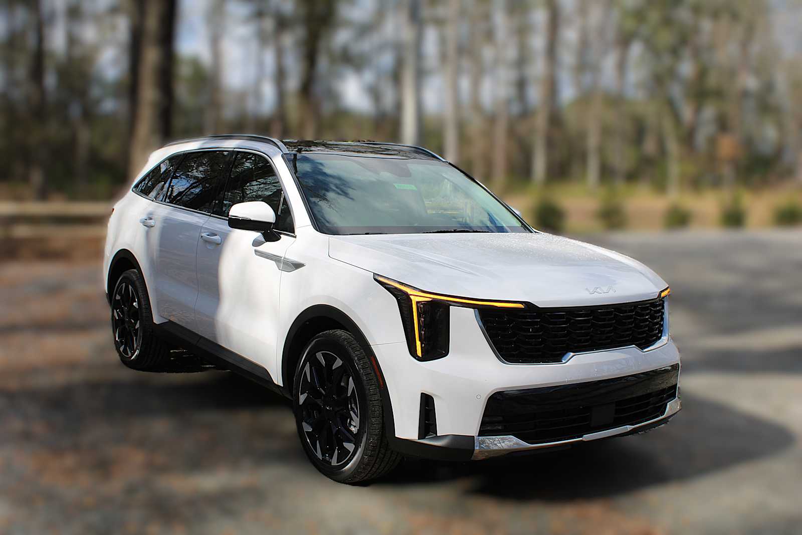 2025 Kia Sorento EX photo 16