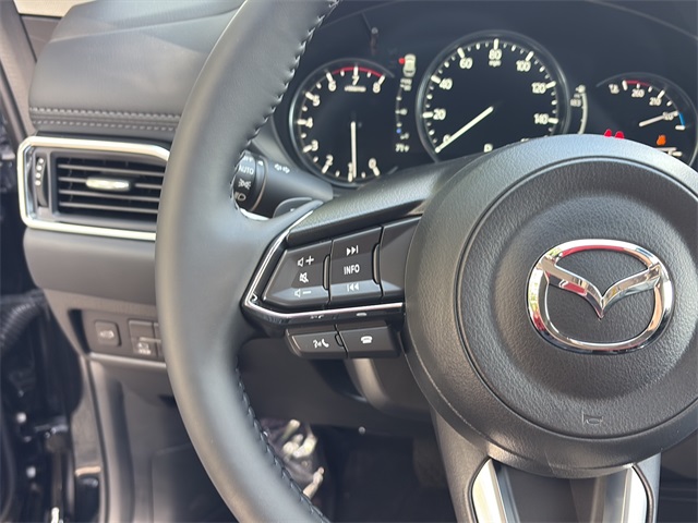 2025 Mazda CX-5 2.5 Premium Plus photo 9