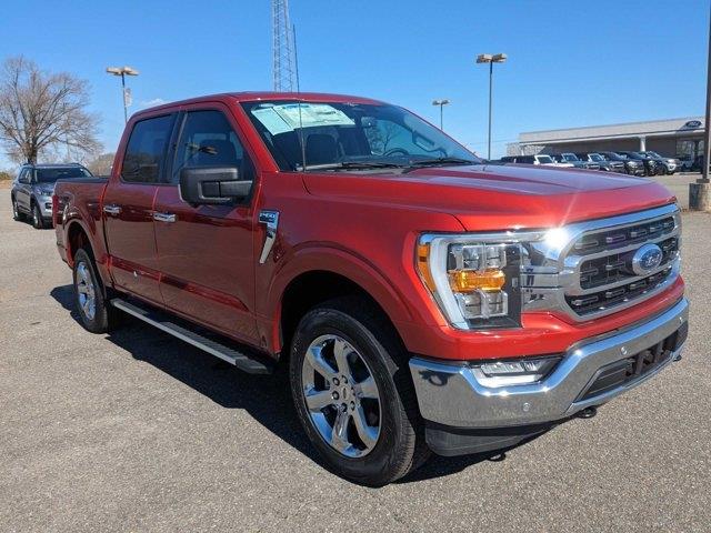 2023 Ford F-150 XLT photo 3