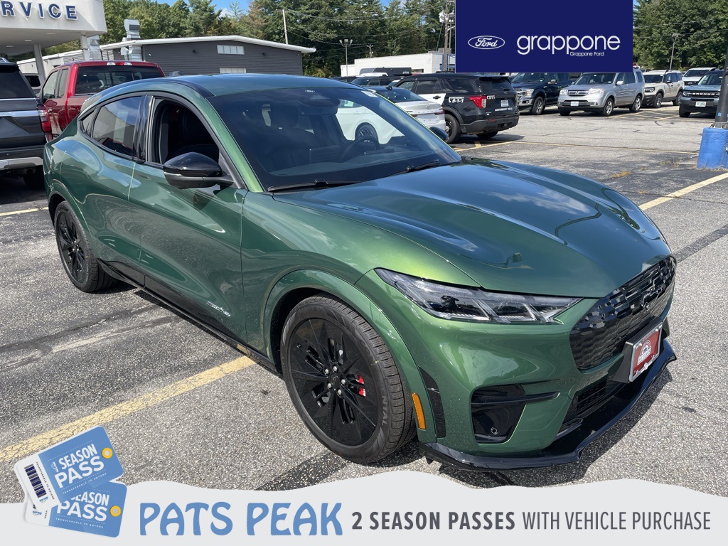 2025 Ford Mustang Mach-E GT AWD's photo