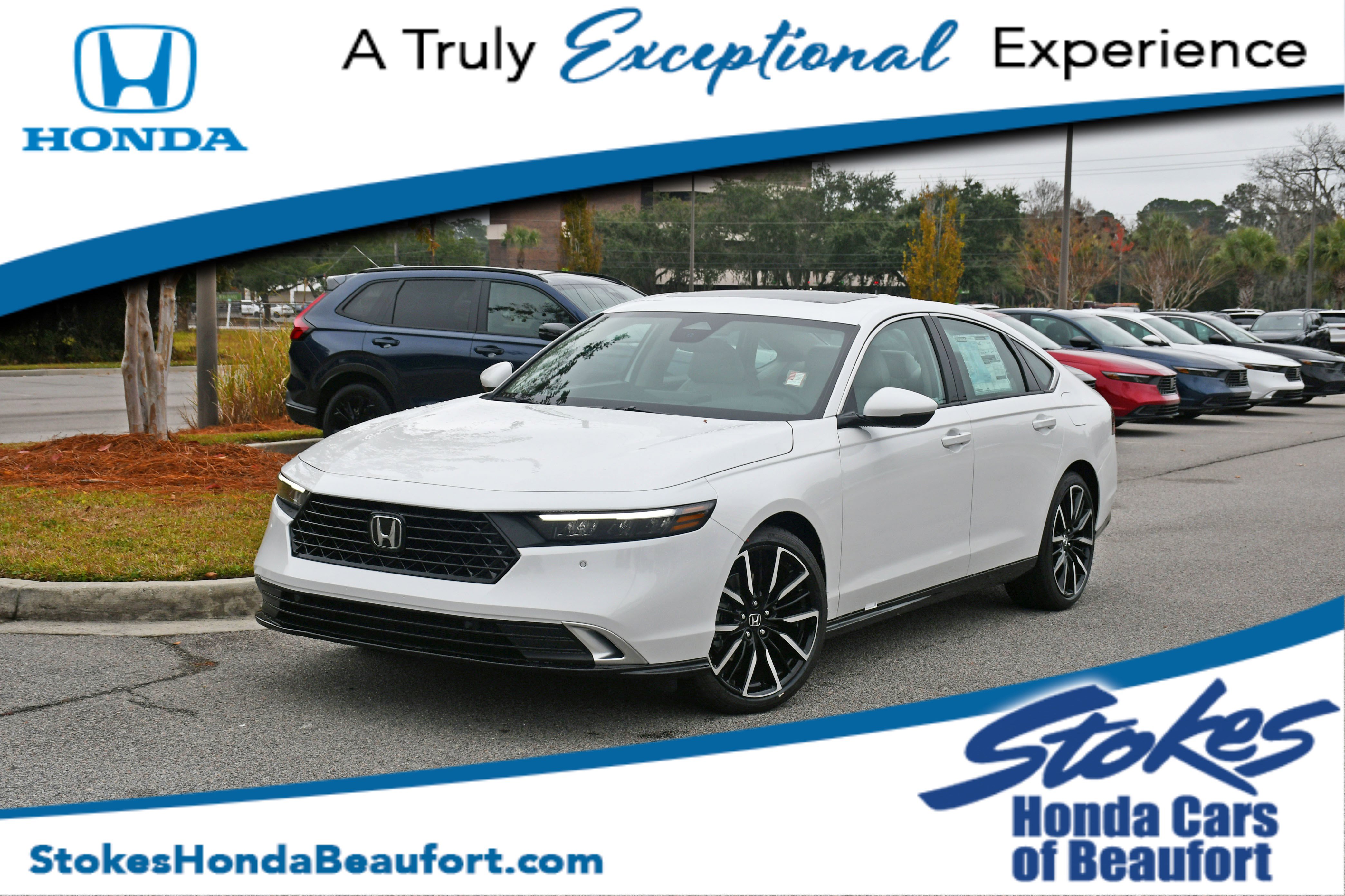 2025 Honda Accord Hybrid Touring's photo