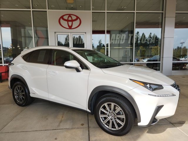 2019 Lexus NX 300h Luxury photo 3