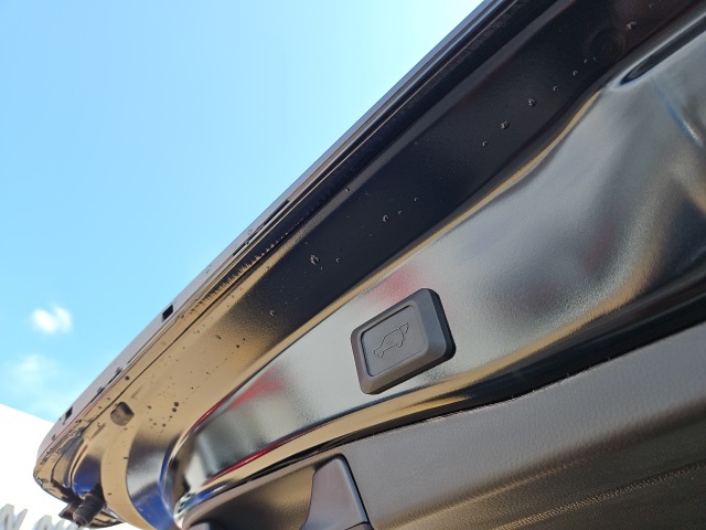 2025 Toyota RAV4 Hybrid XLE photo 12