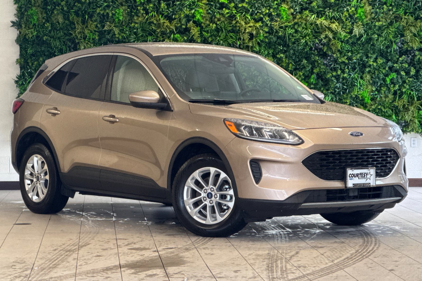 2020 Ford Escape SE's photo