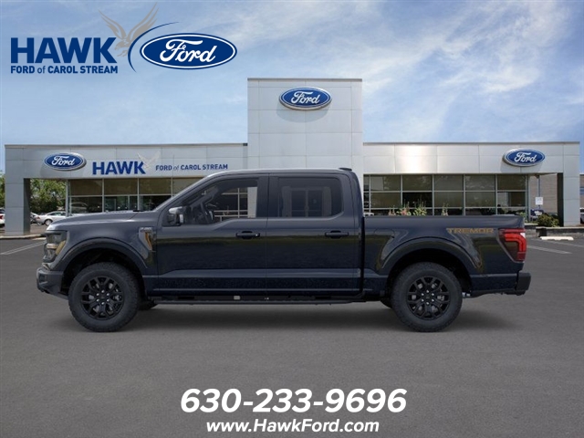 2025 FORD F-150 - Image 3