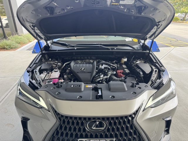 2025 Lexus NX 350 Premium photo 10