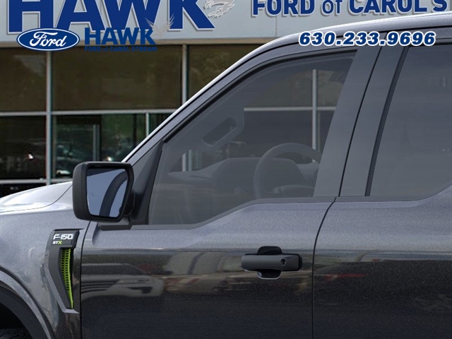 2025 FORD F-150 - Image 20