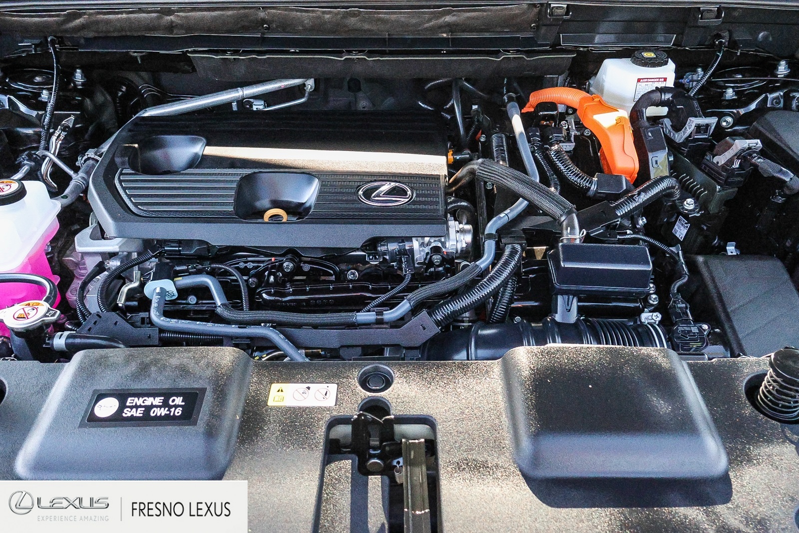 2025 Lexus NX 350h Premium photo 22