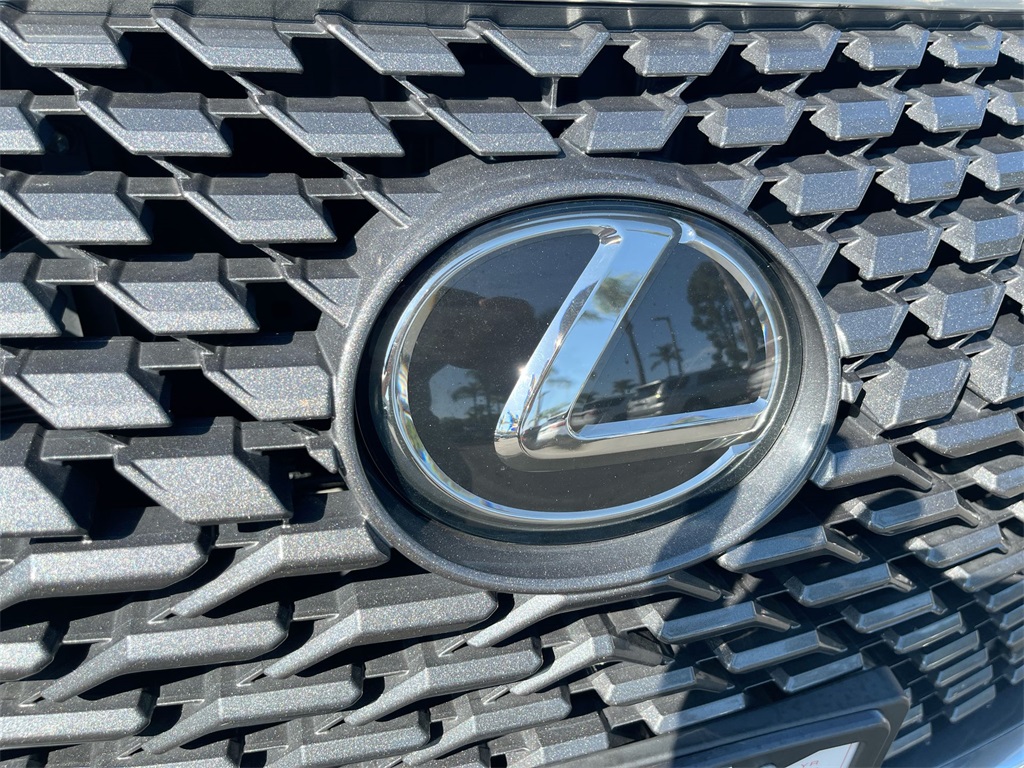 2022 Lexus RX 350 photo 29