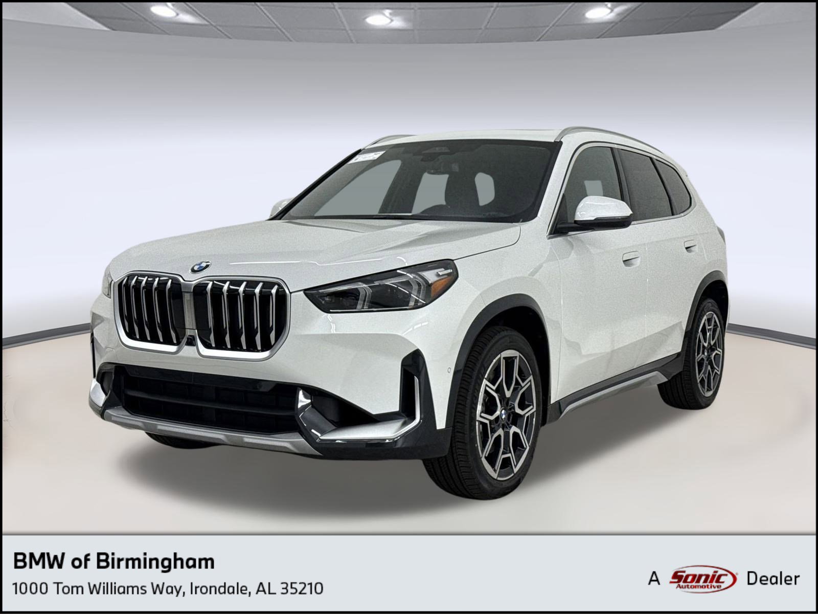 2025 BMW X1 28i's photo