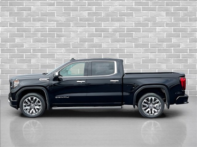 2025 Gmc Sierra 1500 Denali photo 3