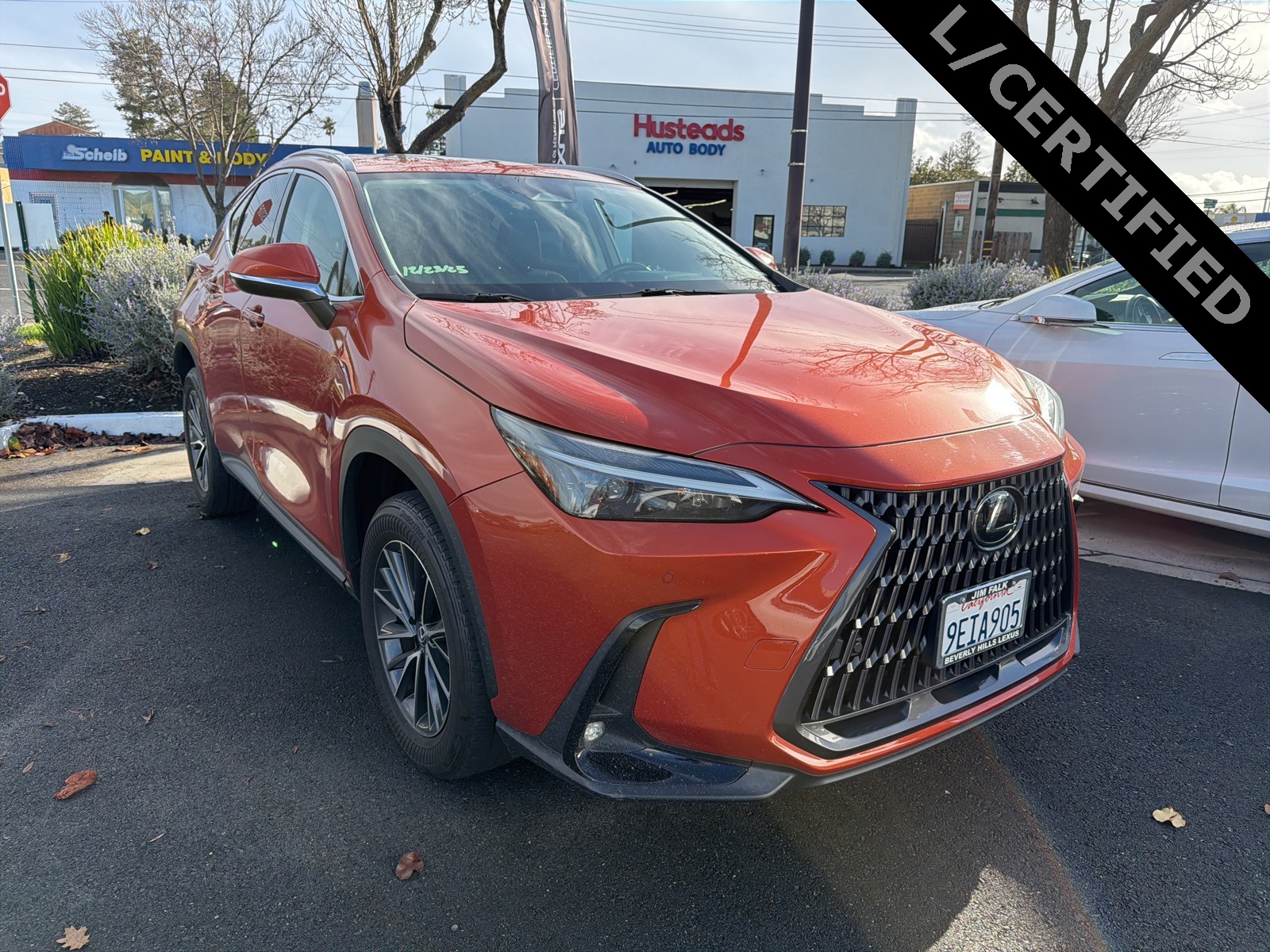 2022 Lexus NX 250's photo