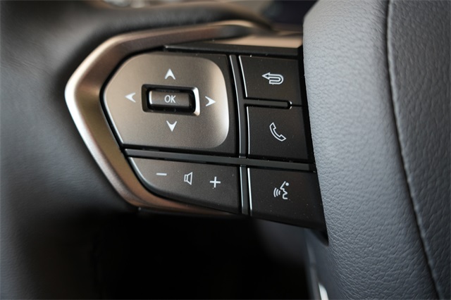 2025 Lexus GX 550 Luxury photo 9
