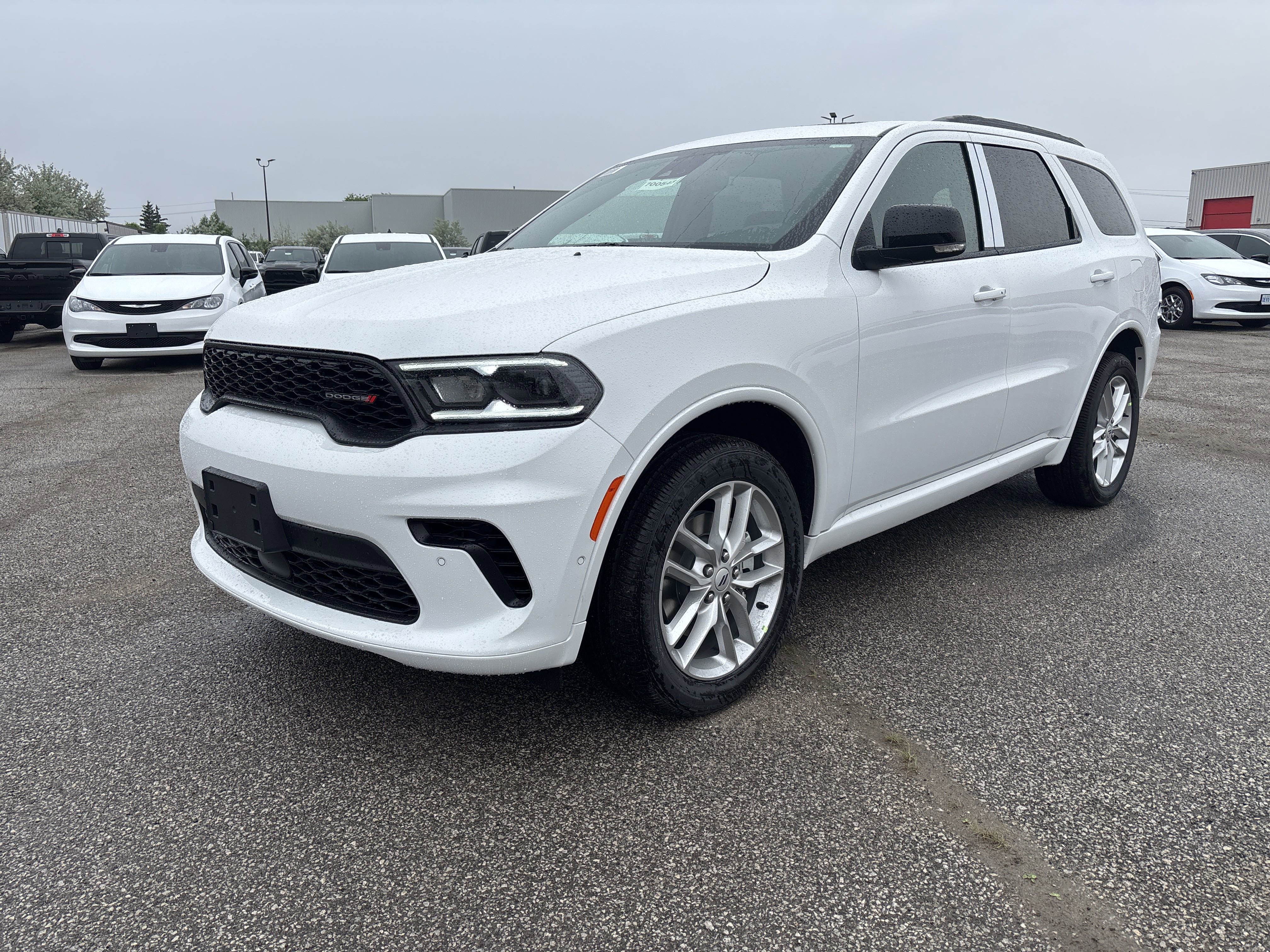New 2025 White Knuckle Dodge GT Plus image 1