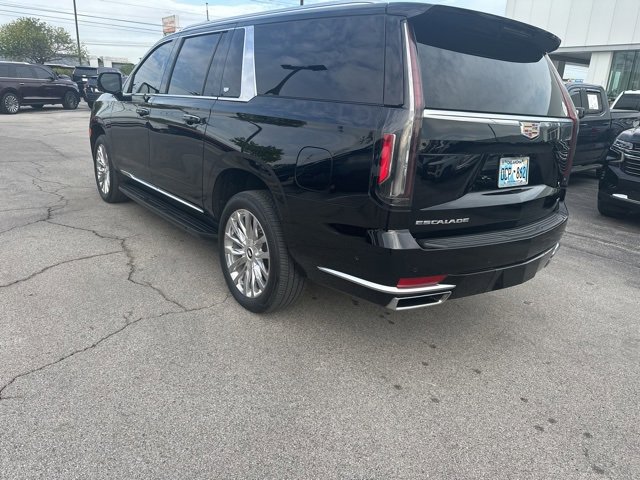 2023 Cadillac Escalade ESV Premium Luxury photo 3
