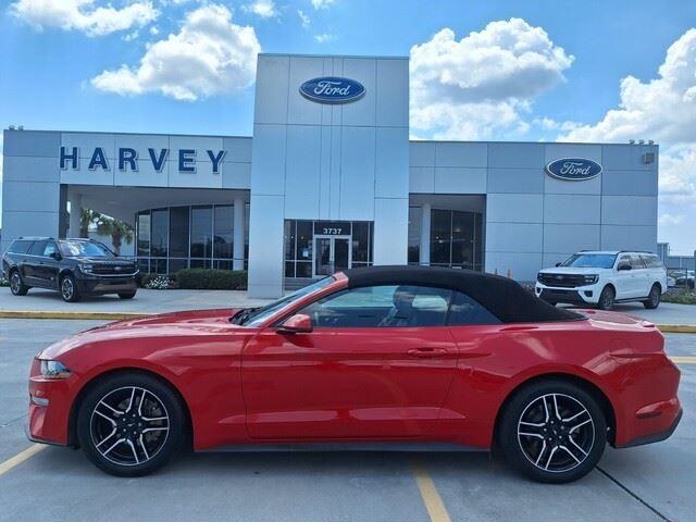 2019 Ford Mustang EcoBoost Premium photo 10