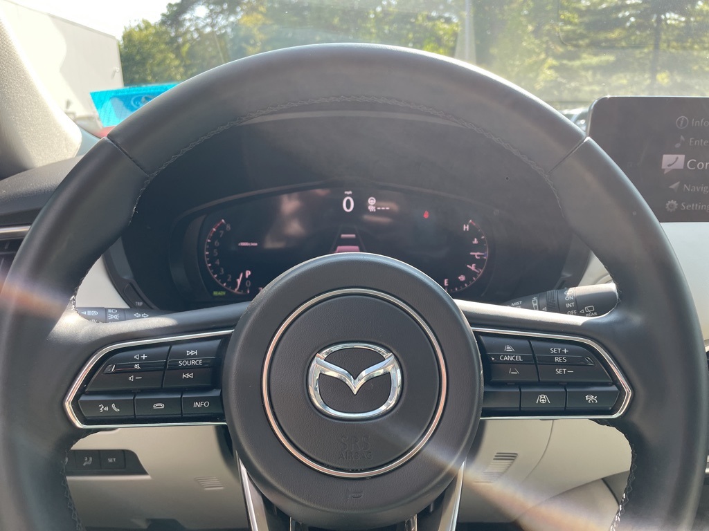 2025 Mazda CX-90 3.3 Turbo Premium Plus photo 14