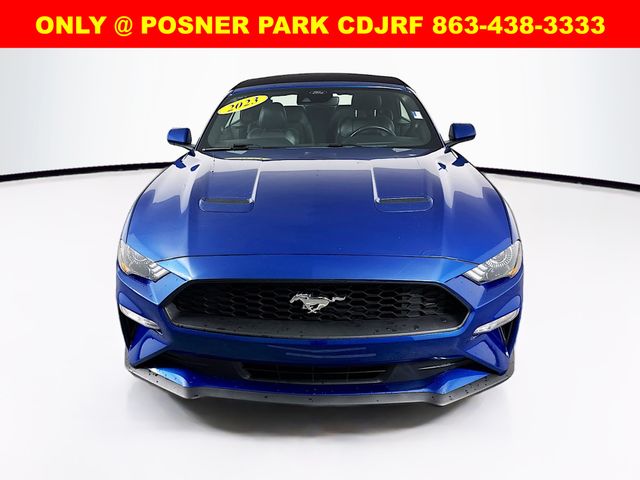 2023 Ford Mustang EcoBoost Premium photo 2