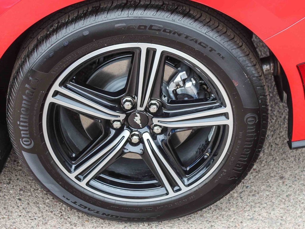 2025 Ford Mustang EcoBoost photo 7