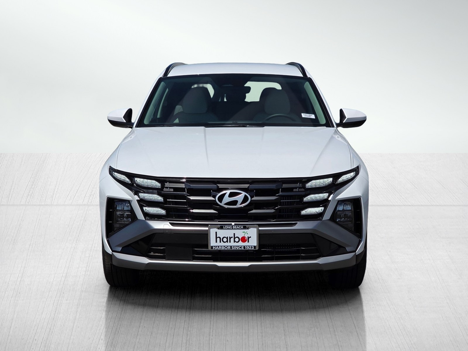 2025 Hyundai Tucson Hybrid Blue photo 2