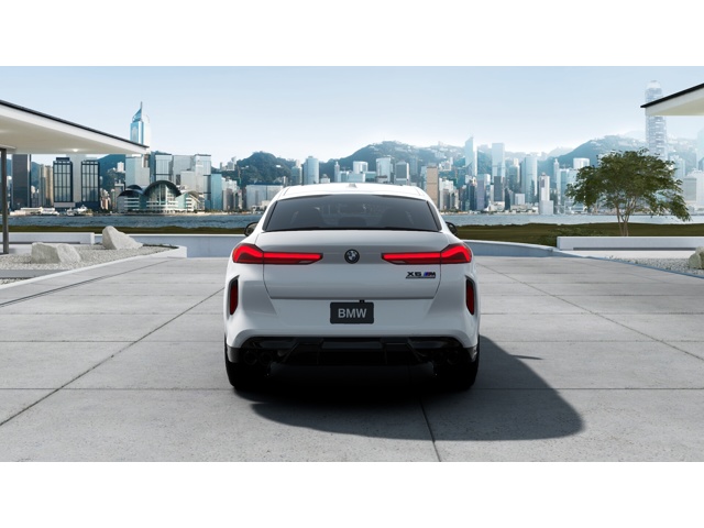 2025 Bmw X6 M50i photo 5