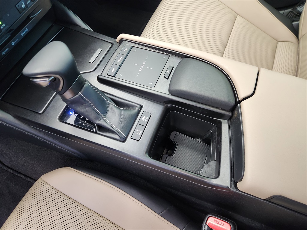2019 Lexus ES 300h photo 15