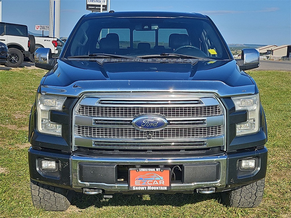 2015 Ford F-150 Platinum photo 19