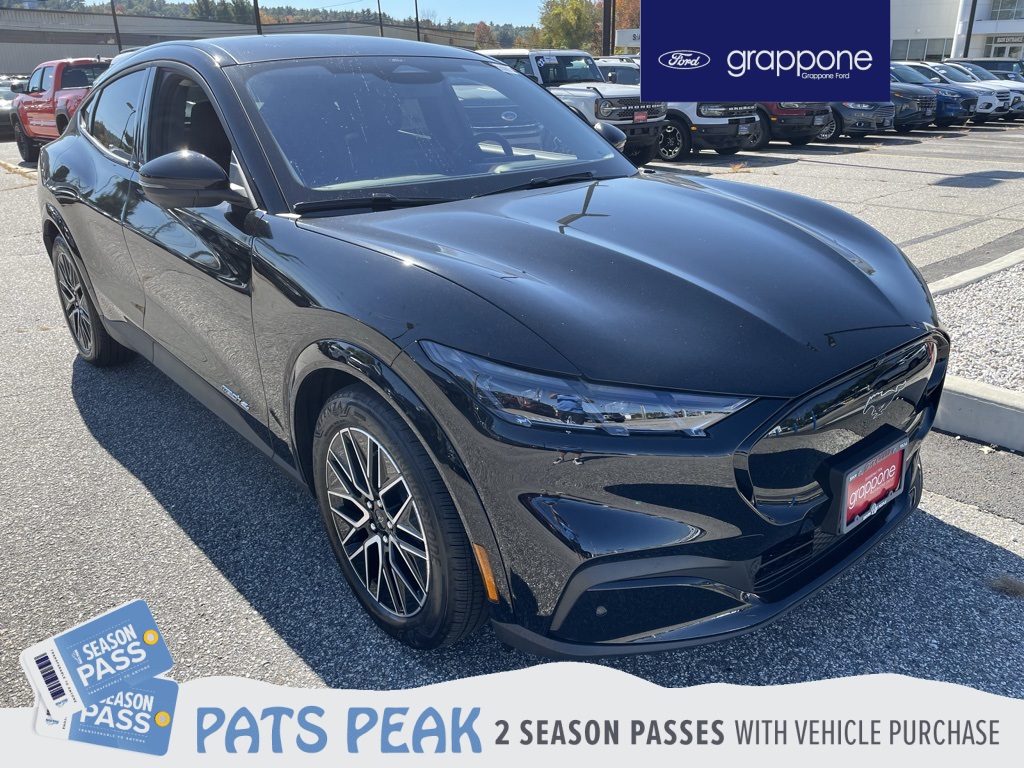 2025 Ford Mustang Mach-E Premium AWD's photo