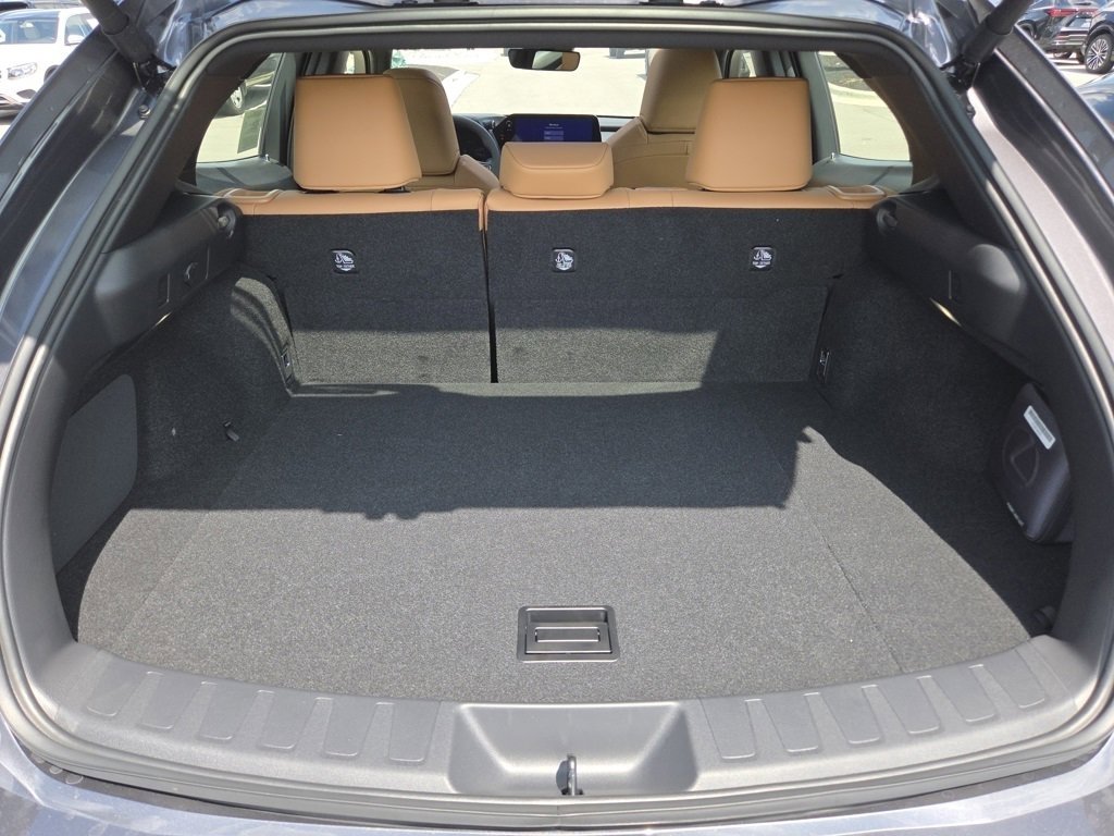 2025 Lexus UX Premium photo 28