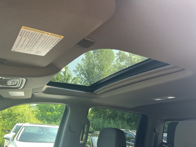 2019 Gmc Sierra 1500 Denali photo 32