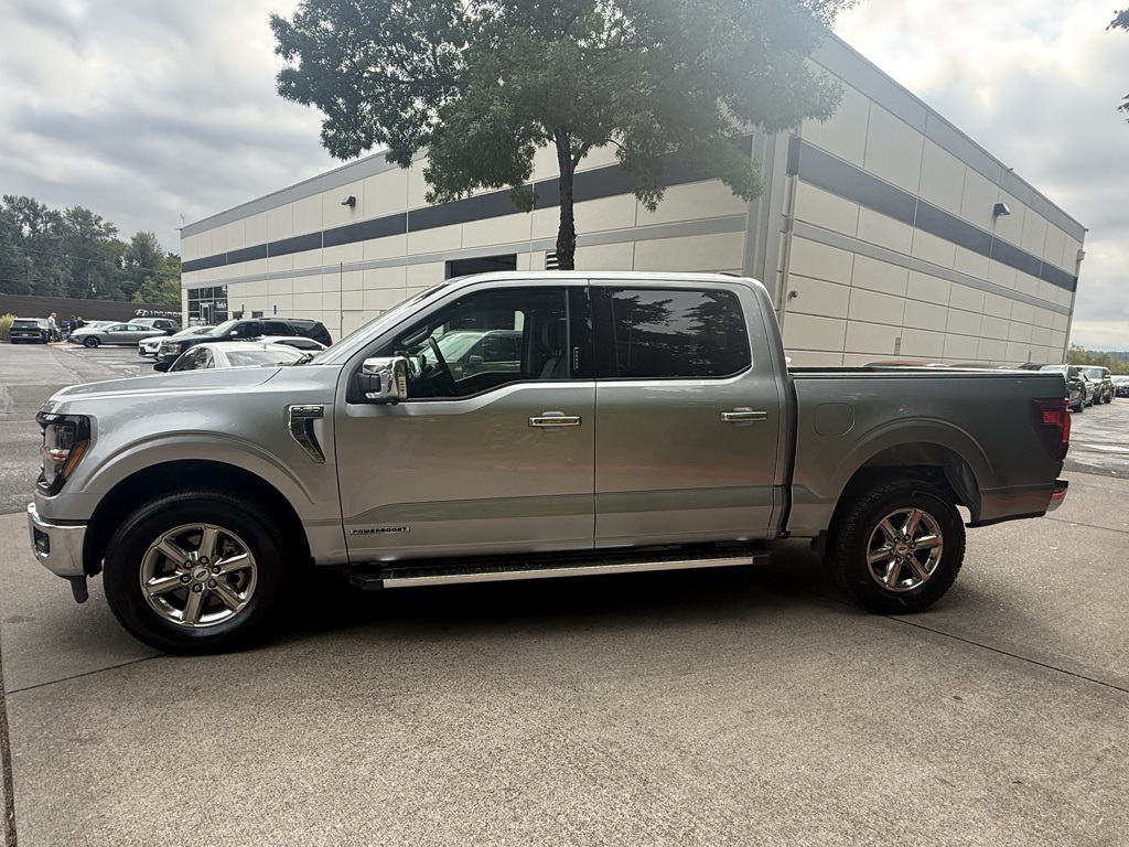 2024 Ford F-150 XLT photo 3