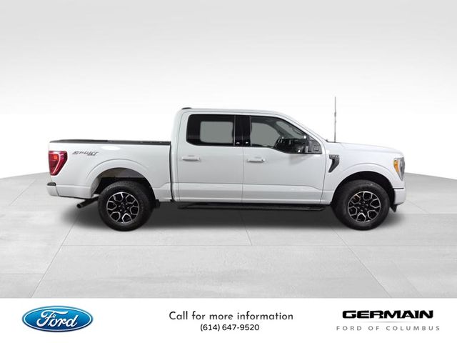 2023 Ford F-150 XLT photo 4