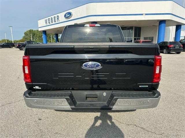 2023 Ford F-150 XLT photo 4