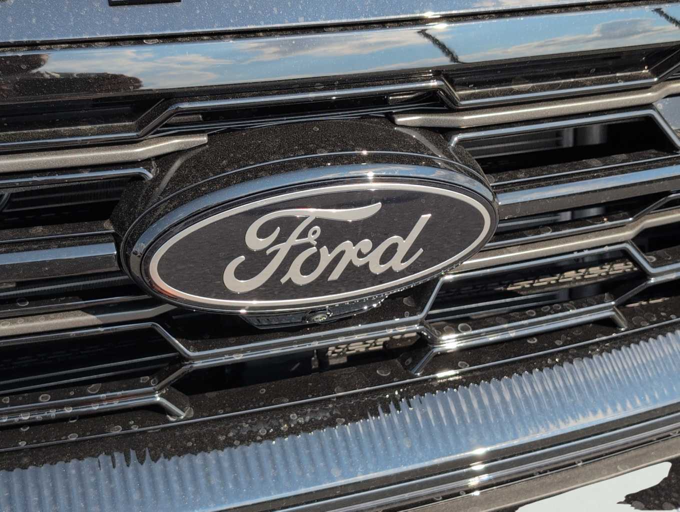 2025 Ford Expedition Platinum photo 4