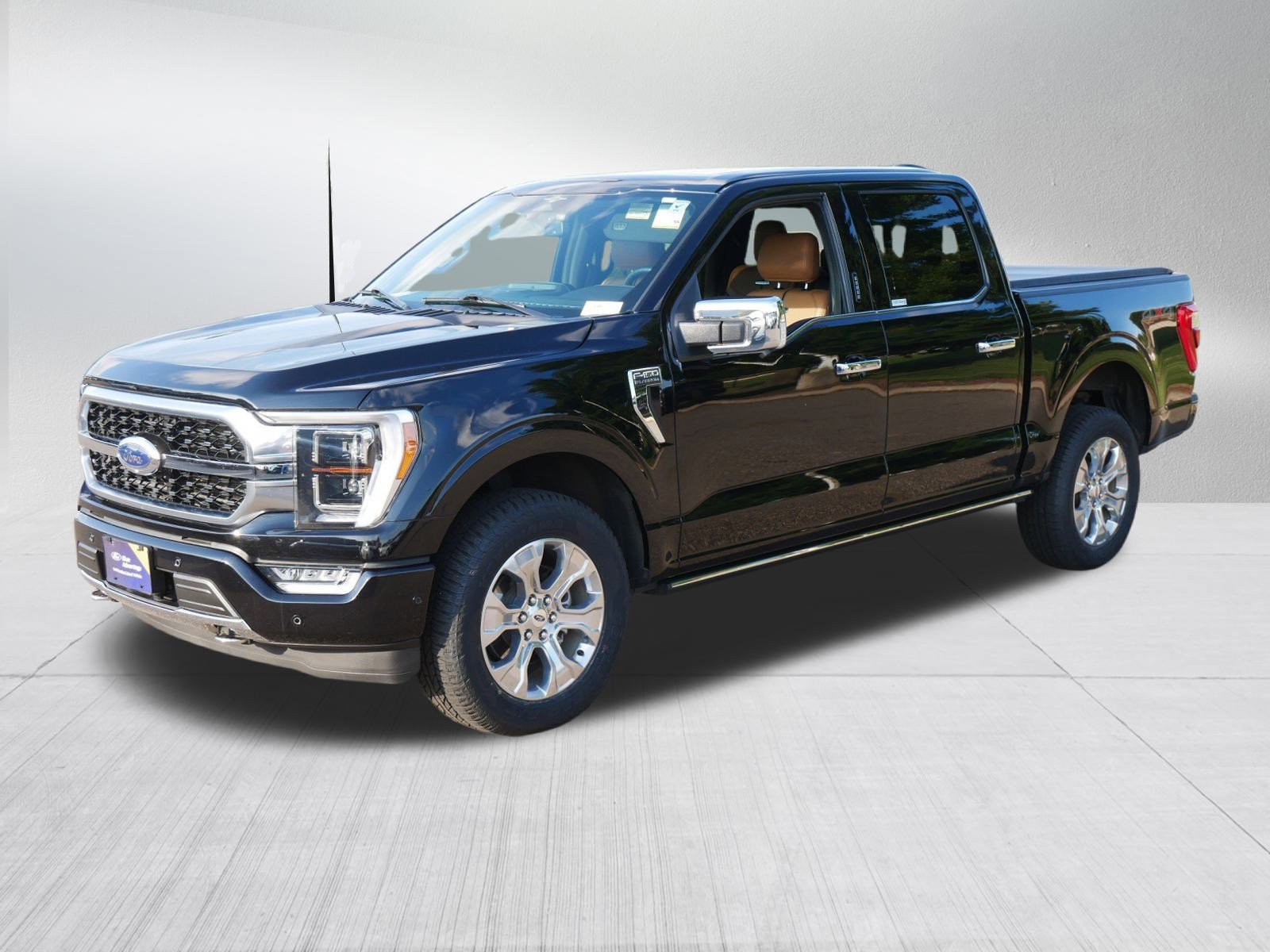 2023 Ford F-150 Platinum photo 3