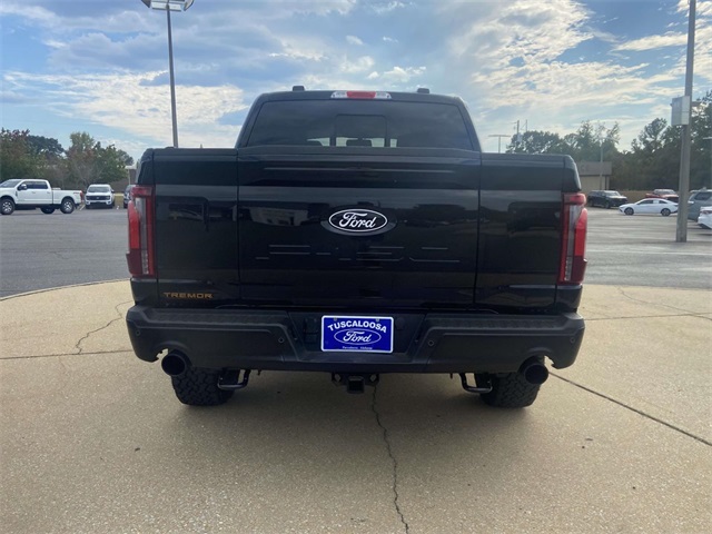2025 Ford F-150 Tremor photo 3