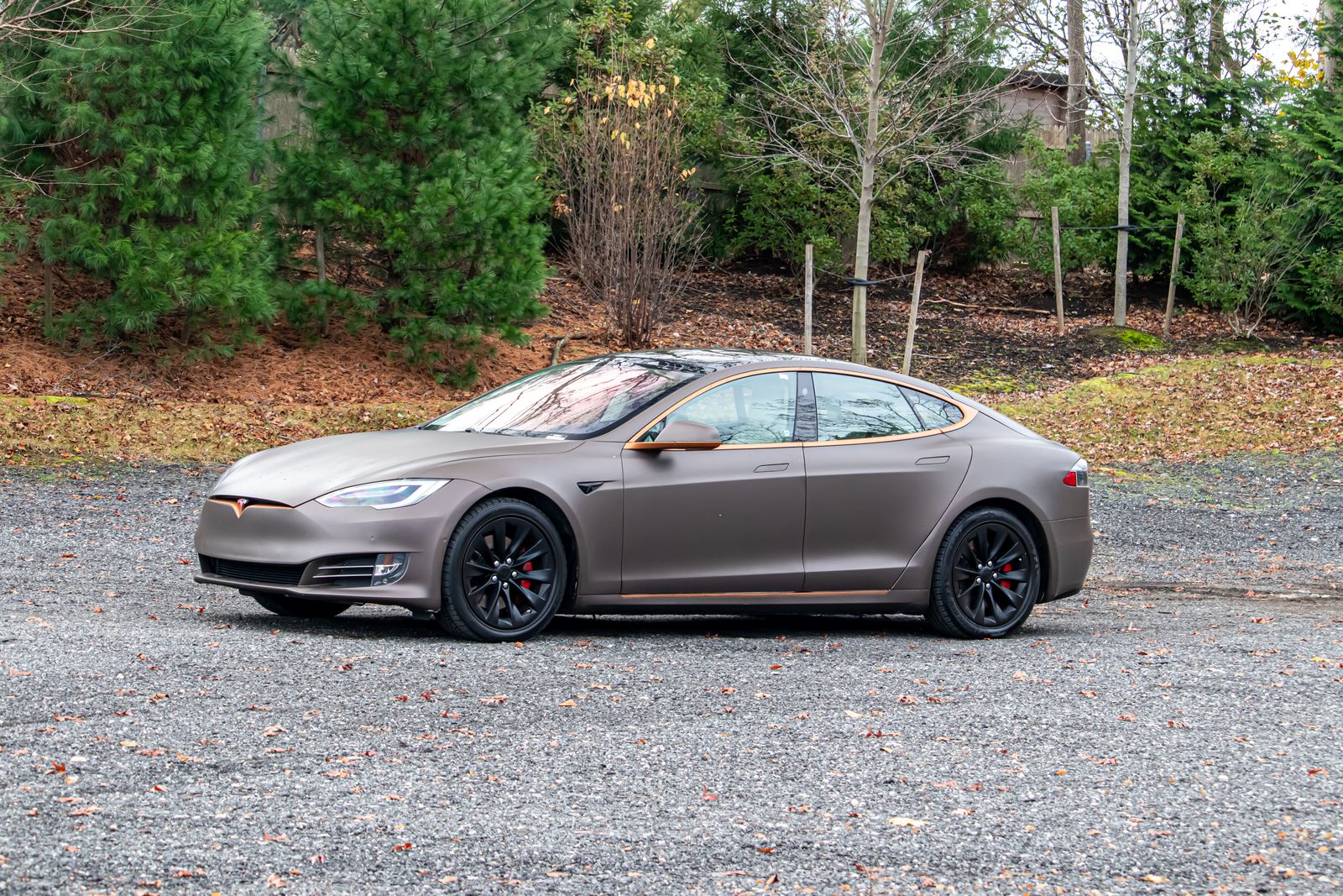 2018 Tesla Model S 75D photo 3