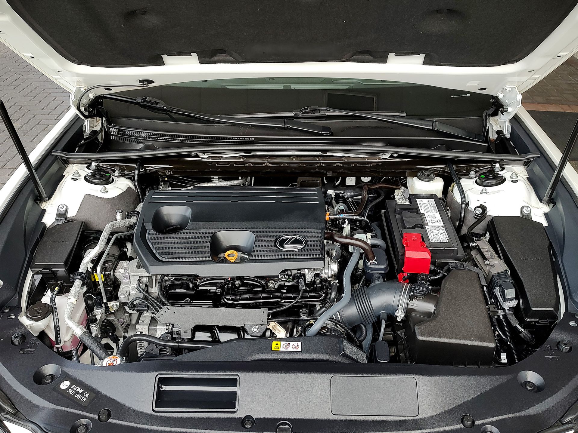 2023 Lexus ES 250 AWD photo 43