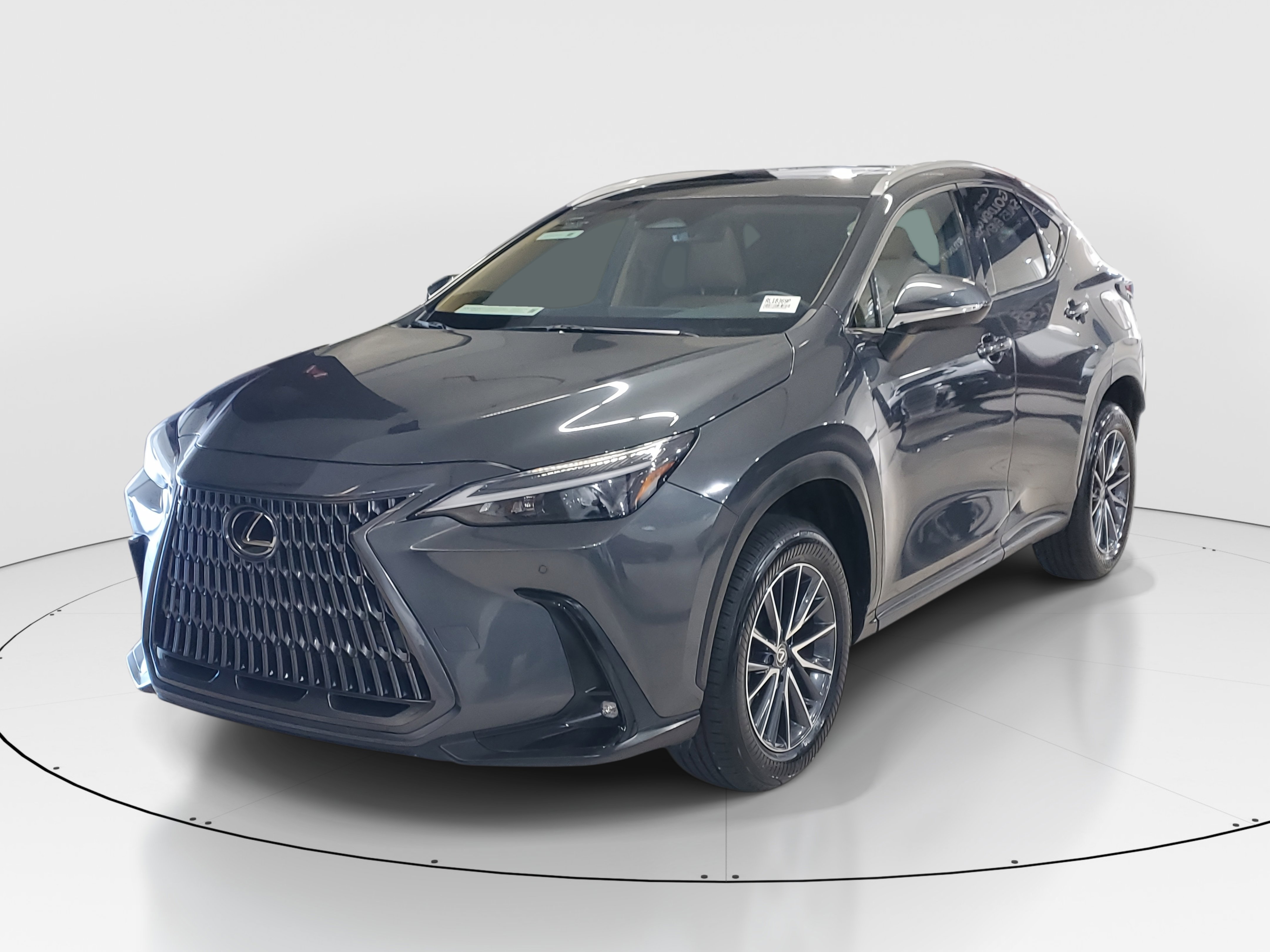 2025 Lexus NX 250 Premium photo 4