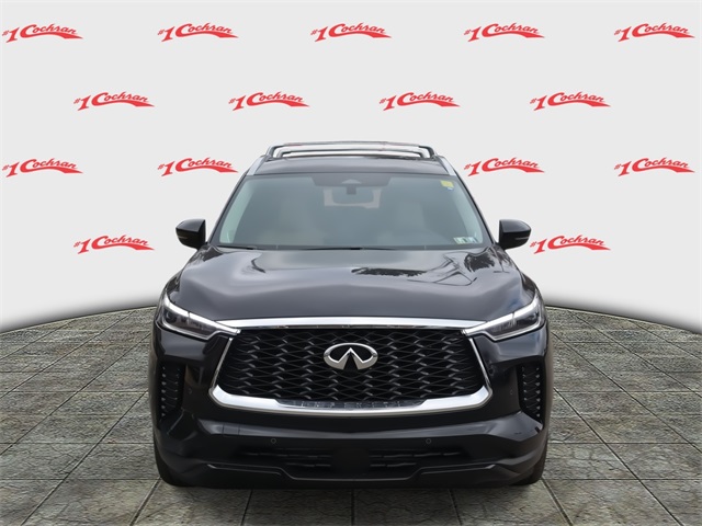 2025 Infiniti QX60 Luxe photo 8