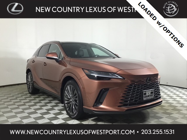 2024 Lexus RX PHEV 450h+'s photo