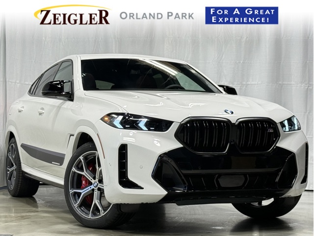 2026 BMW X6 M60i's photo