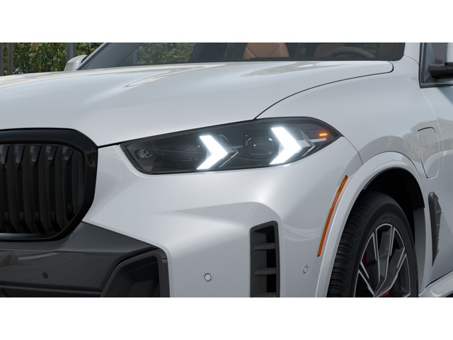 2026 Bmw X5 xDrive50e photo 5