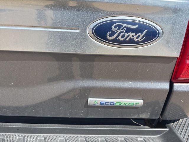 2021 Ford F-150 Platinum photo 4